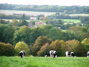 photo d'un paysage de campagne