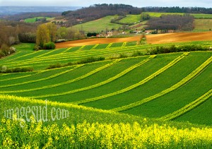photo d'un paysage de campagne