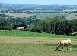 photo d'un paysage de campagne