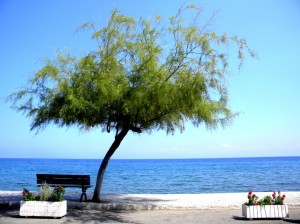 photo paysage bord de mer