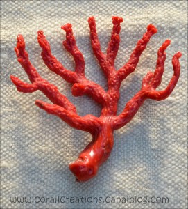 Corail rouge
