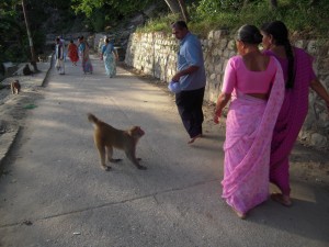 Bongare indien