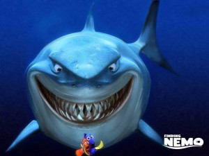 Requin