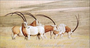 Oryx