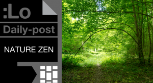 photo nature zen