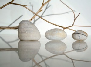 photo nature zen