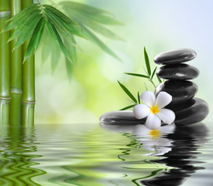 photo nature zen