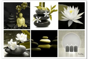 photo nature zen