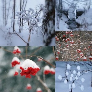 photo paysage janvier