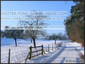 photo paysage janvier