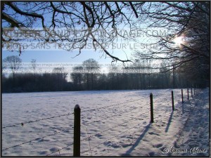 photo paysage janvier