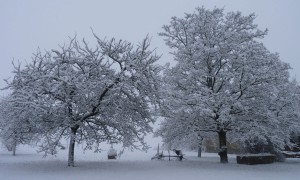 photo paysage janvier