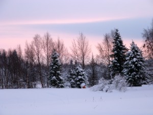 photo paysage janvier