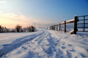 photo paysage janvier