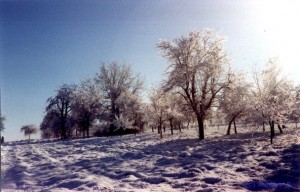 photo paysage janvier