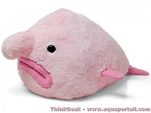 Blobfish