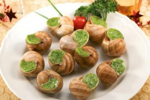 Escargot de Bourgogne