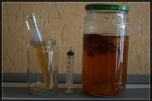 Anguillule du vinaigre