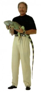 Iguane vert