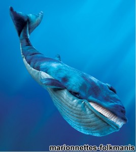 Baleine bleue