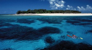 photo nature du monde