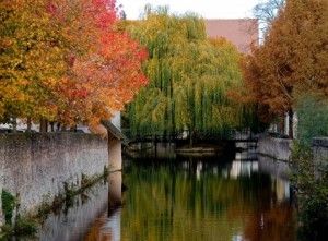 photo nature eure et loir