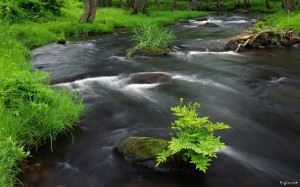photo nature riviere