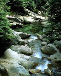 photo nature riviere