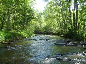 photo nature riviere