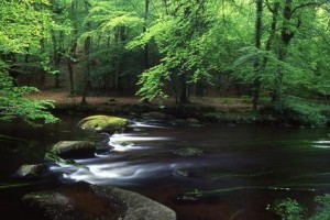 photo nature riviere