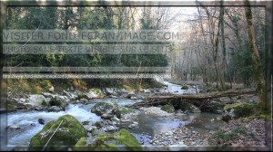 photo nature riviere