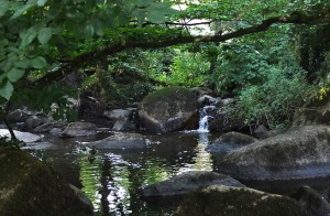photo nature riviere