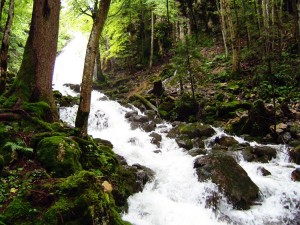 photo nature riviere