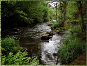 photo nature riviere