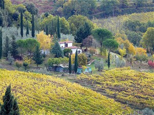 photo paysage de toscane