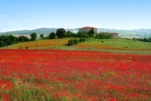 photo paysage de toscane