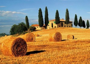 photo paysage de toscane