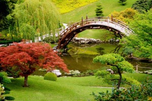 photo paysage jardin japonais