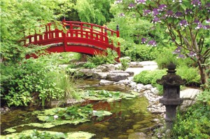 photo paysage jardin japonais