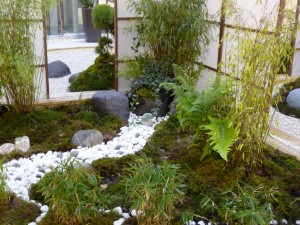 photo paysage jardin japonais