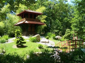 photo paysage jardin japonais