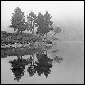 photo paysage noir et blanc