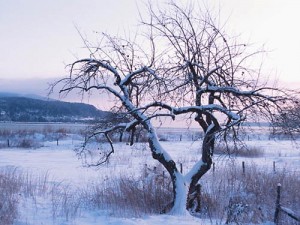 photo paysage quebecois