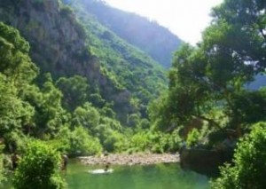 photos nature jijel