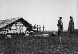 photos paysages landais