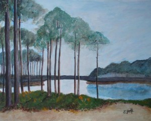 photos paysages landais