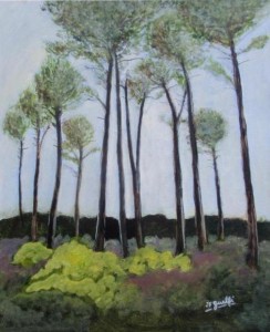 photos paysages landais